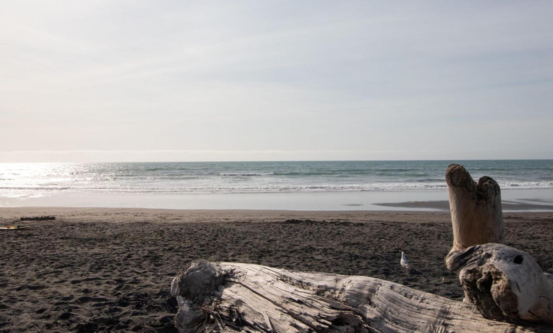 The Dunes At Fitzroy Beach - Unit 4 New Plymouth Exteriör bild